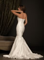 1-AOJP-Back
