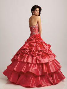 1-Q-CVB FLAMINGO(BACK)