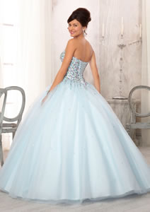 2-IPVAO BLUE (BACK)